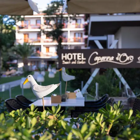 Hotel Hotel Capanna D'Oro 3*