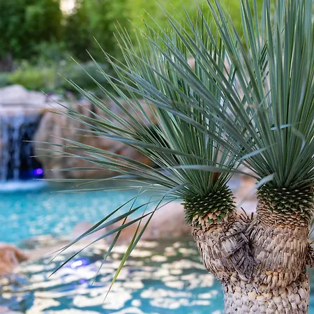 Szálloda Capanna D'oro 3*