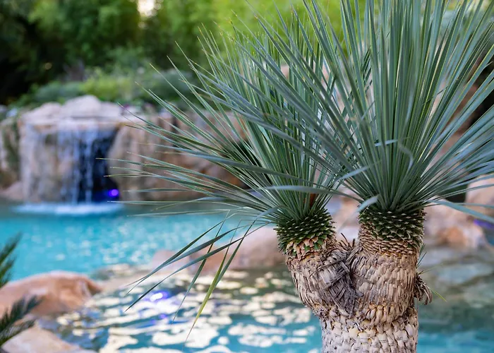 Hotel Capanna D'oro 3*